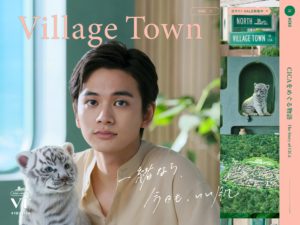 Village Town | VT COSMETICS