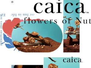 ナッツの美味しさが開花する 【caica カイカ】花ひらくお菓子