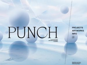 PUNCH Portfolio