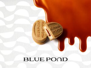 ブルーポンド | BLUE POND